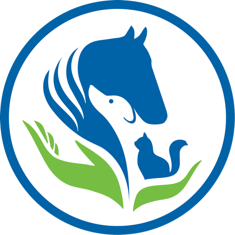 SAENA Logo Circle
