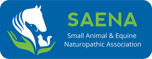 SAENA-logo-horizontal-reverse