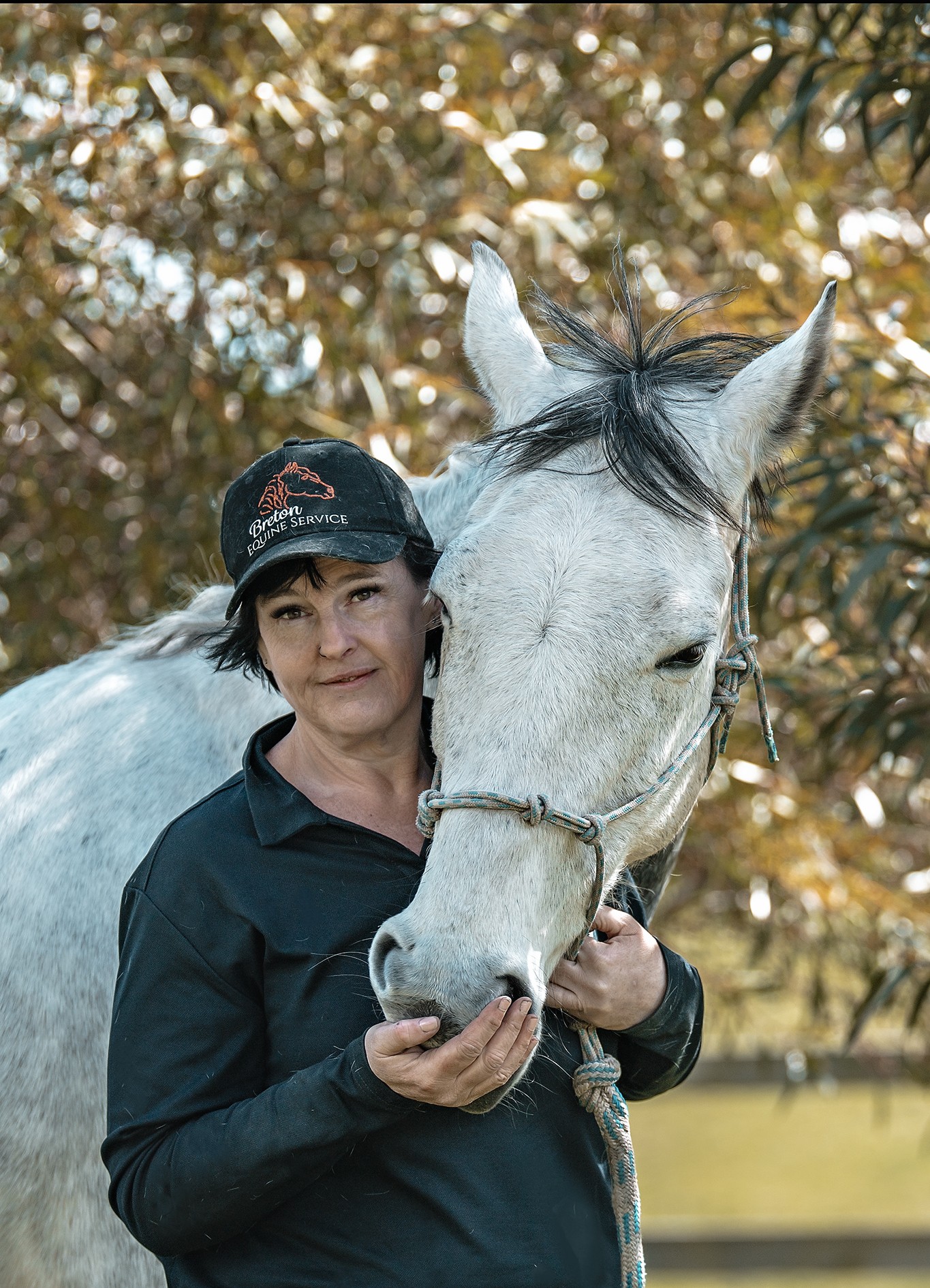 Linda BretonEquine